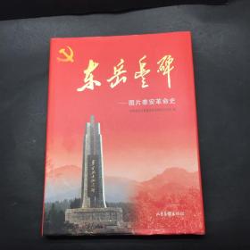 东岳丰碑图片泰安革命史