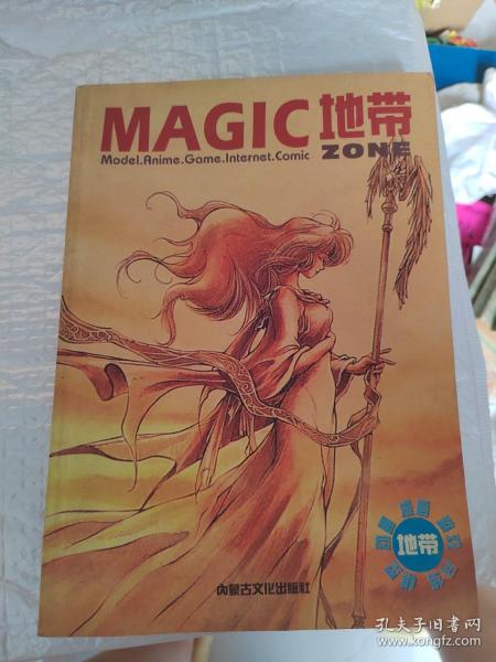 MAGIC地带：《电子游戏软件》杂志特刊