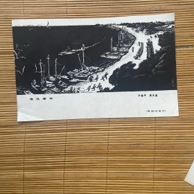 渔汛季节