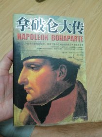 拿破仑大传：伟大只存在于历史和回忆中：改变了整个欧洲版图的那个人的生平全景