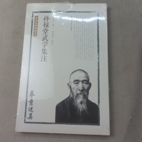孙禄堂武学集注 拳意述真