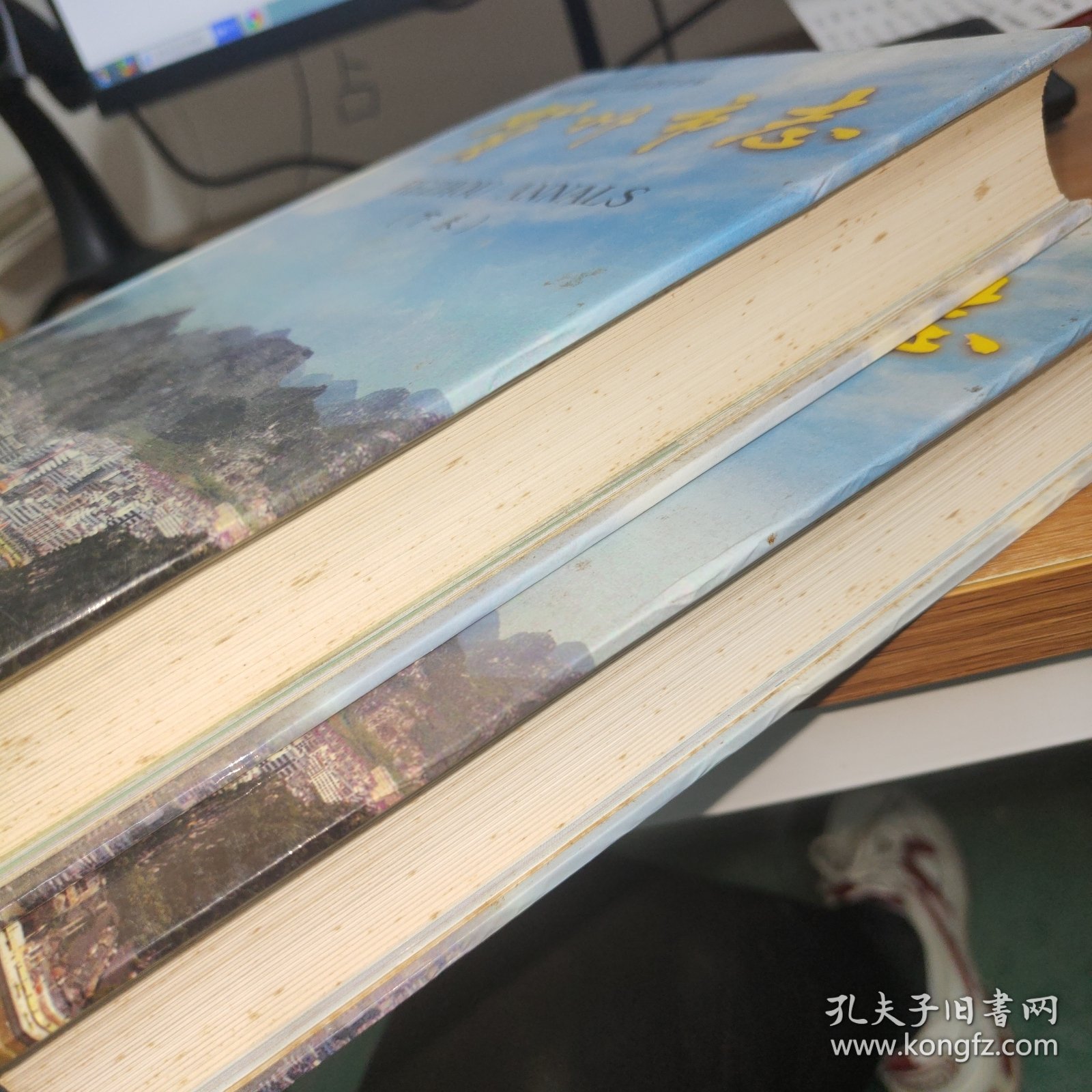 贺州市志（上下卷）