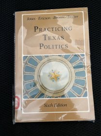 practicing Texas politics，6th edition