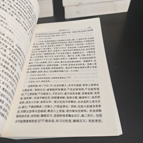 二十四史简体字本后汉书（8-9卷三五-卷七五，卷七六-卷九〇/志一-志三〇）