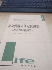 北京鸭脑立体定位图谱：北京鸭脑解剖学（作者签赠本）