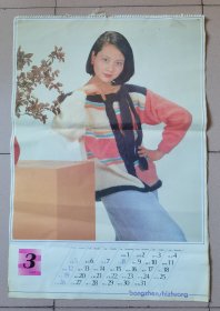 1989年〈明星美女〉挂历（天津杨柳青画社出版）