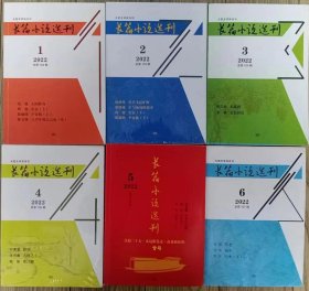 《长篇小说选刊》2022年第1，2，3，4，5，6期全年6册合售（ 范稳《太阳转身》阿莹《长安》陈继明《平安批》徐贵祥《琴声飞过旷野》谢络绎《生与死间的花序》陈应松《天露湾》鲁敏《金色河流》付秀莹《野望》王方晨《大地之上》陈玺《珠江潮》第十一届茅盾文学奖获奖作品两部：孙甘露《千里江山图》乔叶《宝水》上下全，庞贝《乌江引》叶弥《不老》艾伟《镜中》等）