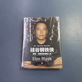 硅谷钢铁侠：埃隆·马斯克的冒险人生