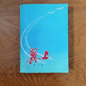 翼上（长篇小说）
