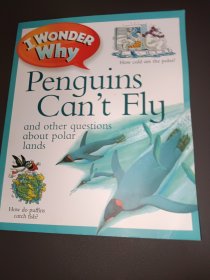 IWonderWhyPenguinsCan'tFly為什么企鵝不會飛
