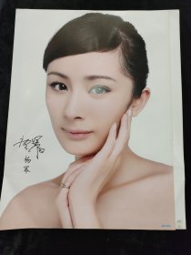 杨幂高清大海报贴纸挂画76