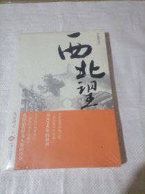 西北望（长篇民国历史小说：1941，从无锡到延安，一段险象环生的生死逃亡，一场青春无悔的人生抉择）