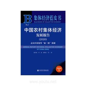 集体经济蓝皮书：中国农村集体经济发展报告2020