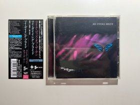 My Dying Bride - Like  Gods Of The Sun，CD，96年日版首版，带侧标和日文解说，我的垂死新娘乐队，厄运金属，外壳磨痕，盘面轻微痕迹
