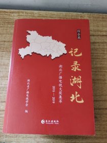 记录湖北，湖北广播电视大奖集萃:电视篇.综合篇.广播篇