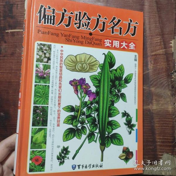 偏方验方名方实用大全