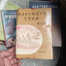 中國(guó)古代微型小說(shuō)鑒賞辭典