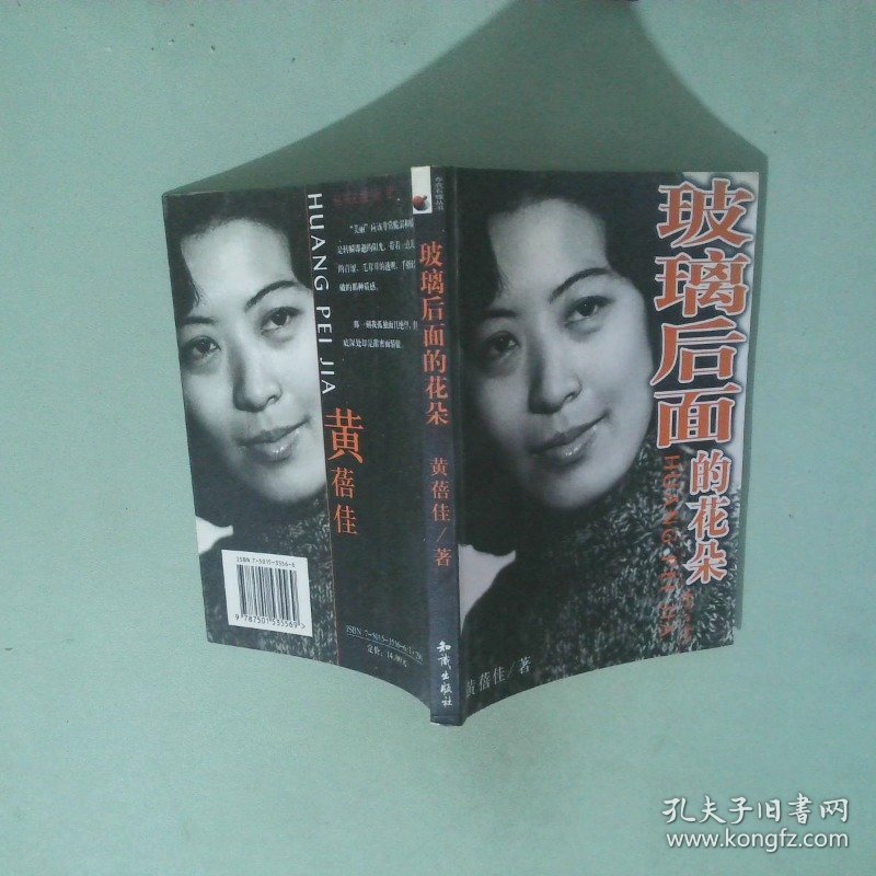 玻璃后面的花朵