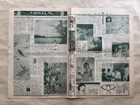 北晨画刊（第10卷第5期）8开4版，道林纸，1936年，尧山冬雪，海上名画家王师子画鱼，名刻竹家吴迪生刻印，双十节参加西安阅兵典礼之空军第四队（阅兵司令张学良），唐古忒研究专号（西藏达赖活佛在布达拉宫内宝座上之遗影、拉萨市东之噶丹寺、西藏大活佛结瓦仁伯沁幼年摄影、旅藏八年之段克兴、后藏贵族妇女之装束、拉萨市贵族妇女之装束、西藏光伯大伯二府贵族妇女之装束），