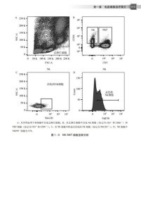 正版 免疫细胞临床应用 陈继冰，穆峰，王雪莹 9787306073778