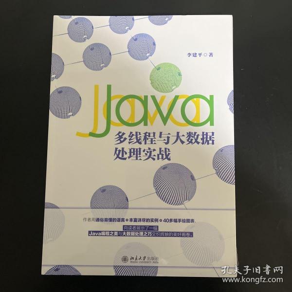 Java多线程与大数据处理实战