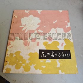 花卉写生与变化