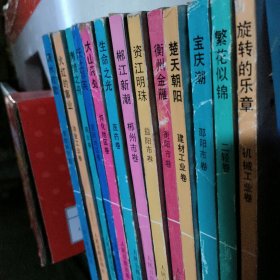三湘企业群星丛书