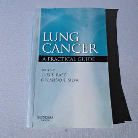 Lung Cancer肺癌:实用指南