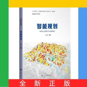 智能規(guī)劃/智能城市規(guī)劃