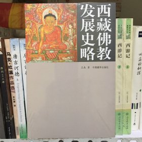 西藏佛教发展史略