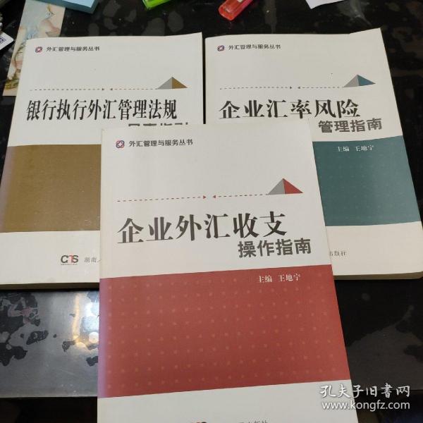 企业外汇收支操作指南