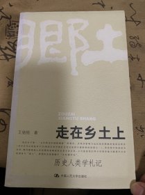 走在乡土上：历史人类学札记