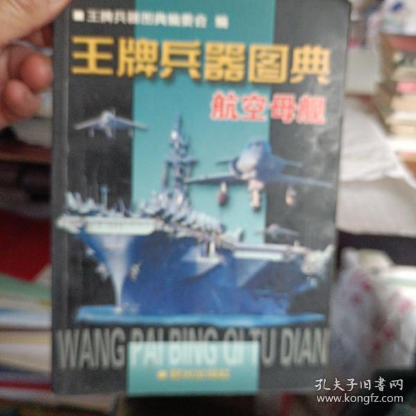 王牌兵器图典.作战飞机