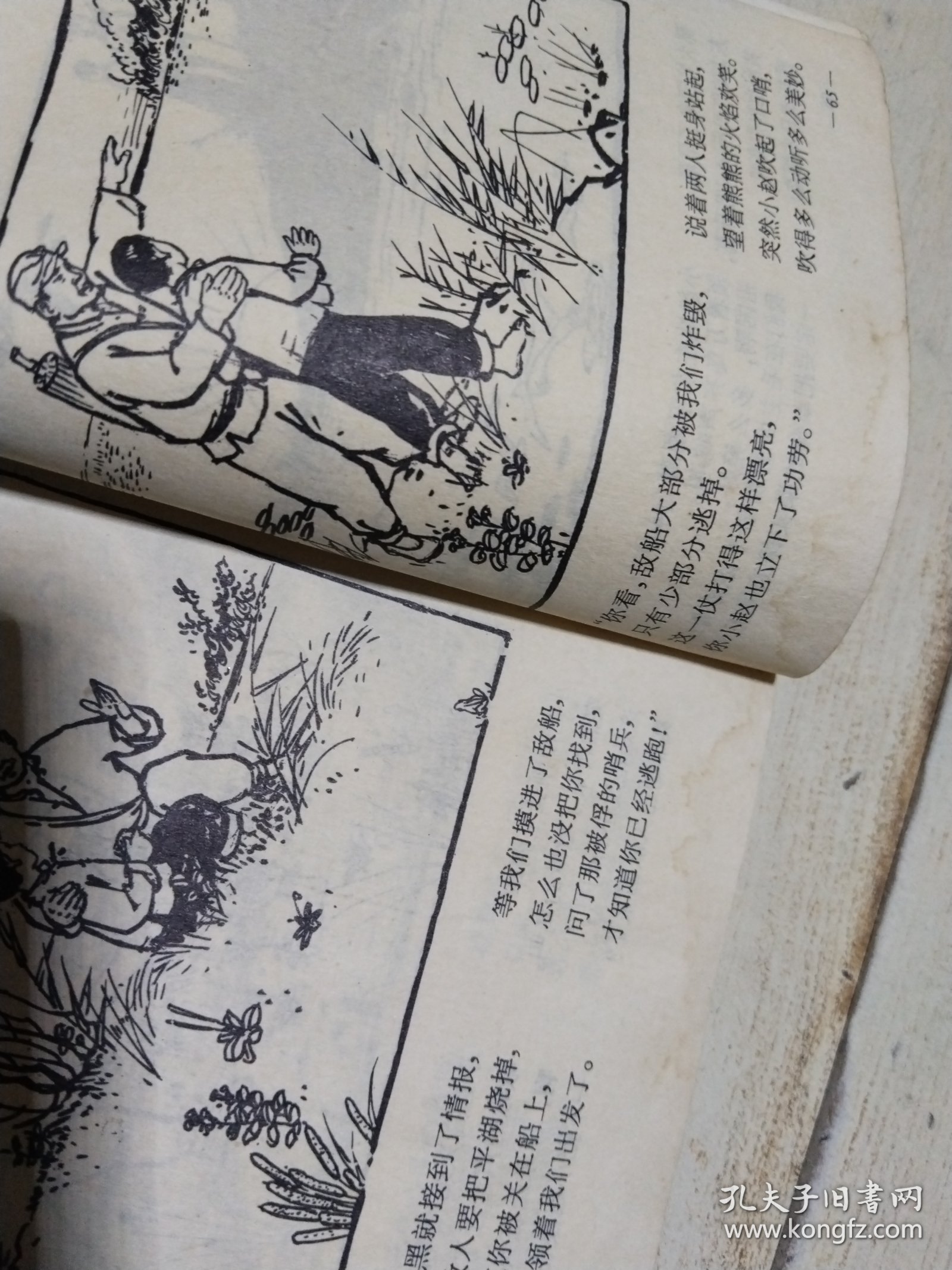 【馆藏本】 东平湖的鸟声