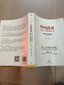 中国改革 历史、逻辑和未来：振兴中华变革论