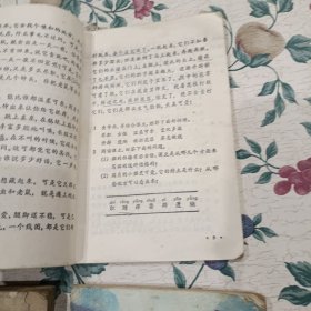 六年制小学课本语文