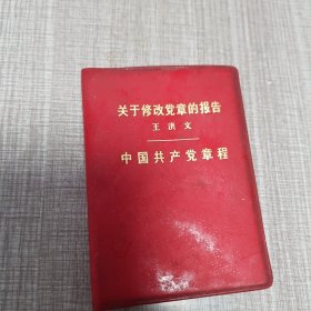 关于修改党章的报告