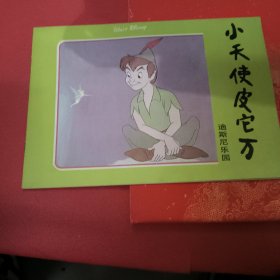 小天使皮它万