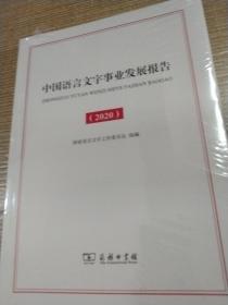 中国语言文字事业发展报告（2020）