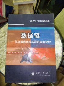 数据链：信息系统连接武器系统的捷径