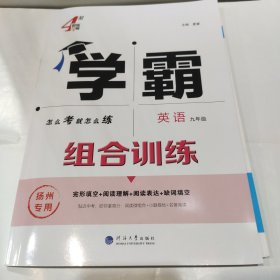 2025版 学霸 组合训练 英语 九年级(扬州专用)