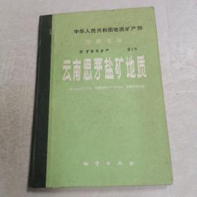 地质专报 四 矿床与矿产 第1号 云南思茅盐矿地质