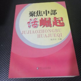聚焦中部话崛起