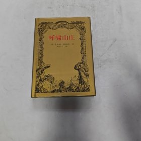 呼啸山庄 精装