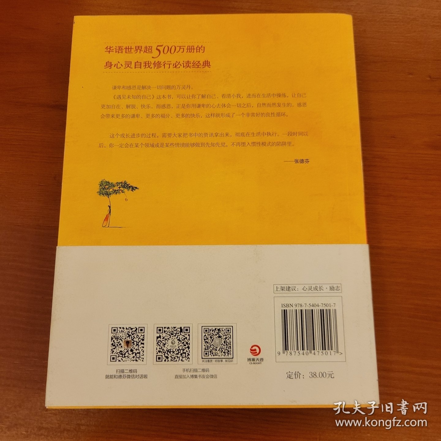 见未知的自己 张德芬著 湖南文艺出版社