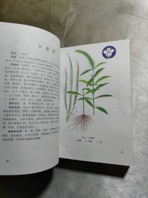 实用中草药彩色图集（第1.3.4册）