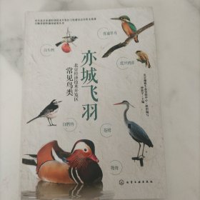 亦城飞羽：北京经济技术开发区常见鸟类