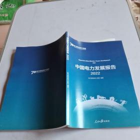 中国电力发展报告：2022