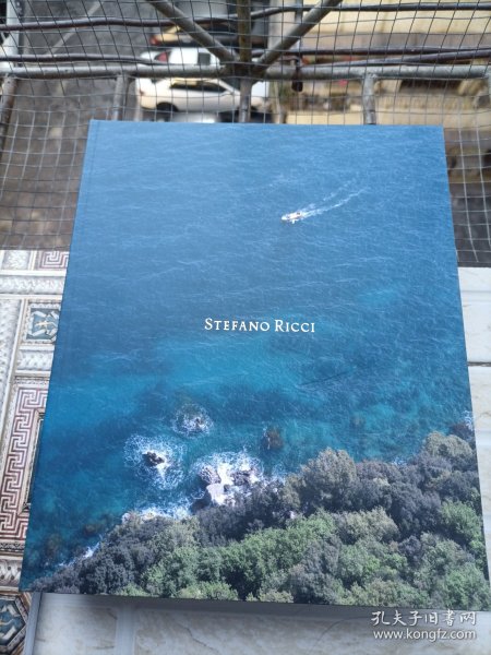 STEFANO RICCI 意大利奢侈品牌男装 英语 12开188页 内页非常干净 重1.5公斤 长几