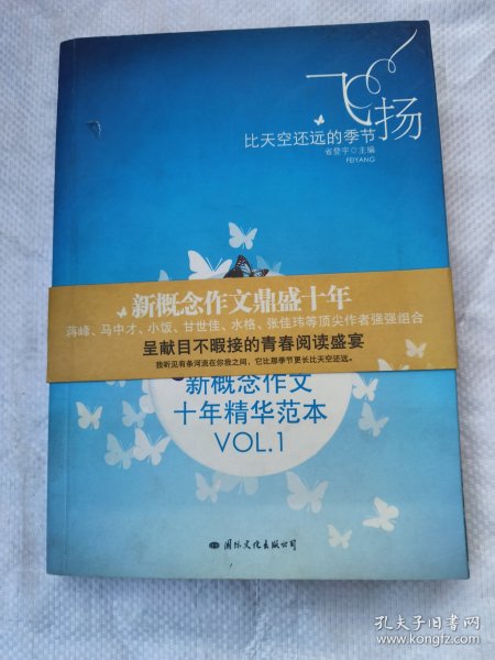 飞扬：新概念作文十年精华范本.VOL1
